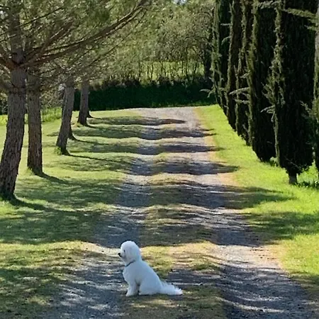 Brin De Cocagne Fénols