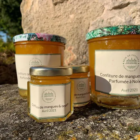 Brin De Cocagne 3* Fénols