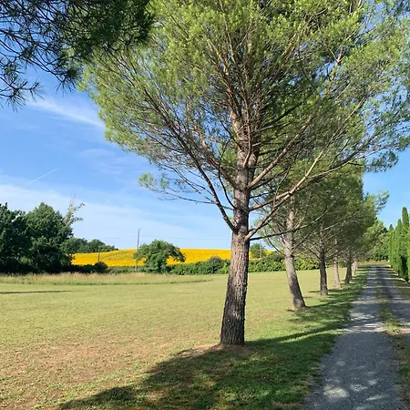 Brin De Cocagne Bed & Breakfast Fénols