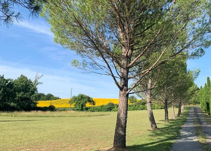 Brin De Cocagne Bed & Breakfast Fénols