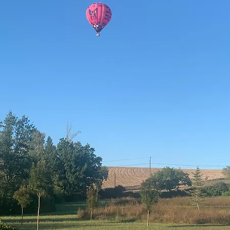Brin De Cocagne 3* Fénols