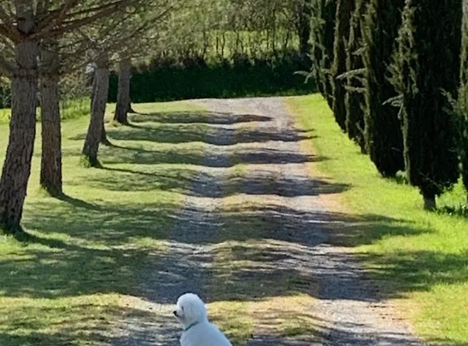 Brin De Cocagne Fénols