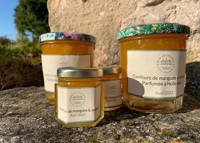 Brin De Cocagne 3* Fénols