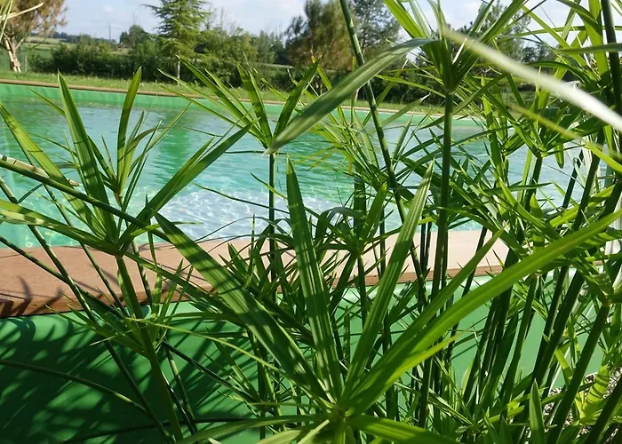 Bed & Breakfast Brin De Cocagne 3*